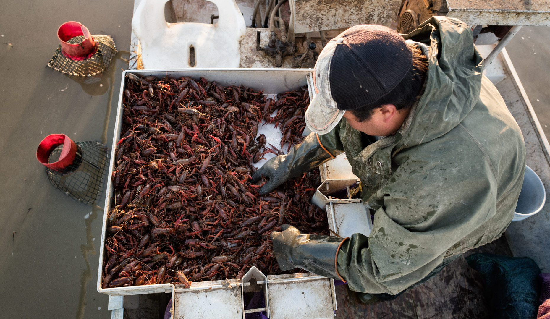 Fruge´ Crawfish Farm near Branch, LA by editorial photographer Kevin Brown.