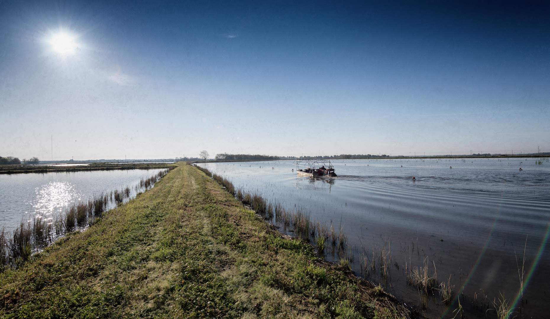 Fruge´ Crawfish Farm near Branch, LA by editorial photographer Kevin Brown.