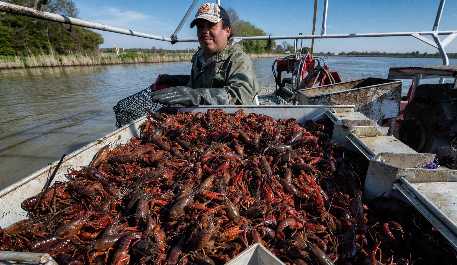 Fruge´ Crawfish Farm near Branch, LA by editorial photographer Kevin Brown.