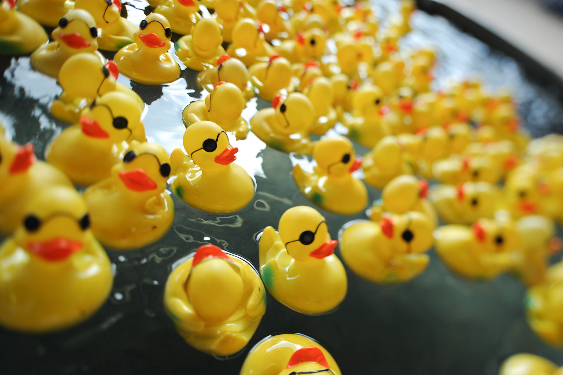 Rubber ducks on the midway at The State Fair of Texas. Photography by Kevin Brown